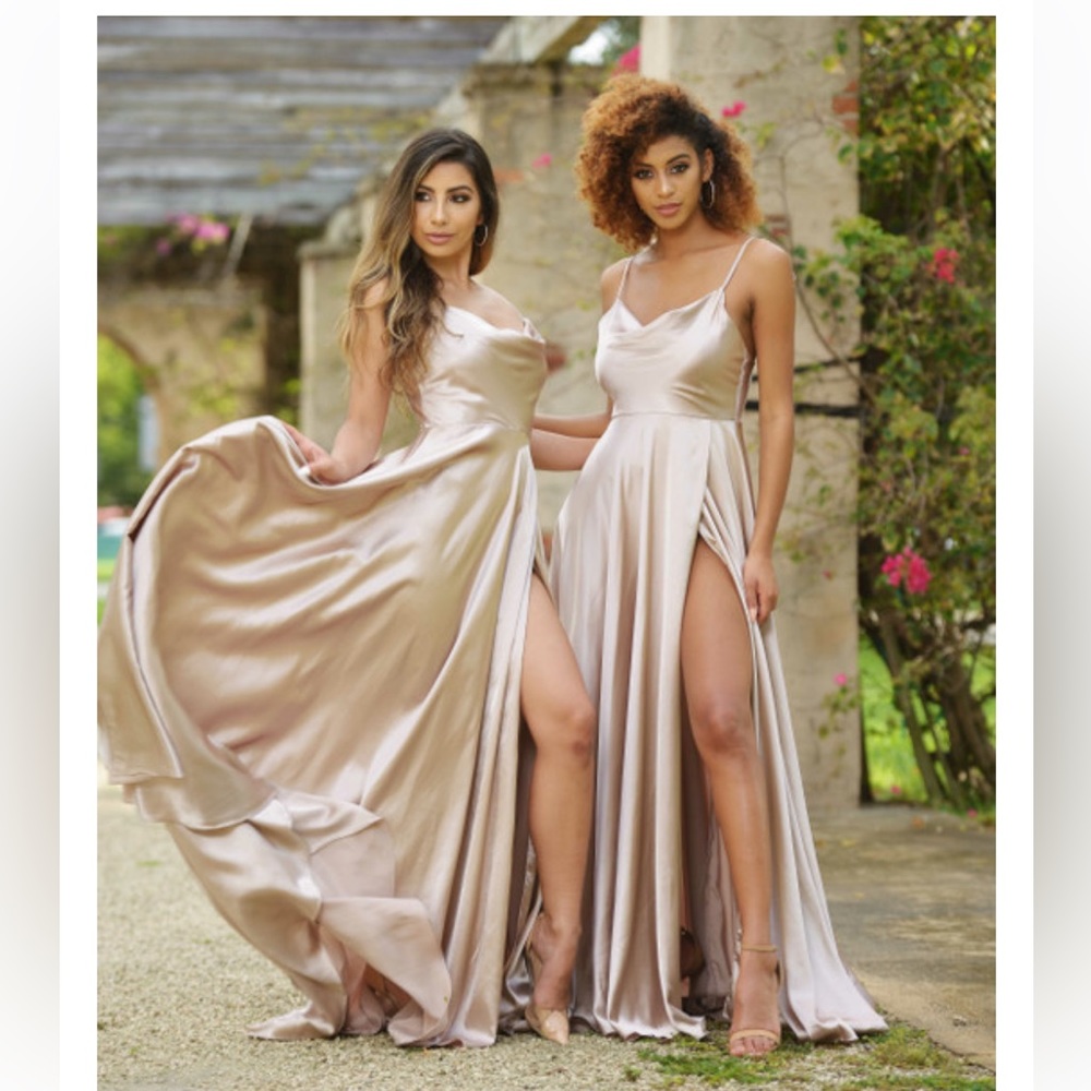 LADY BLACK TIE: LOTTIE GOWN - SAND in size Small.